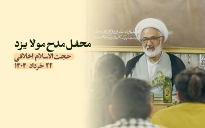 چرا علامه امینی شعر را برای دفاع از امیرالمؤمنین علیهالسلام انتخاب کردند؟